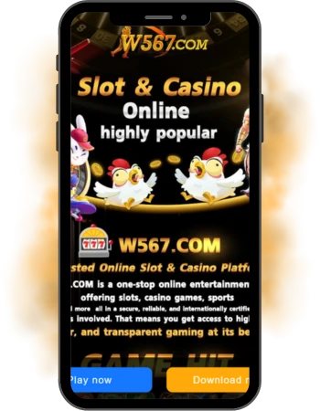 w567 game