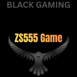 zs555 game logo
